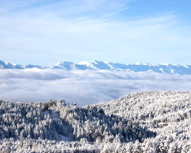 Derrière une forêt de sapins enneigée, la vallée de Font-Romeu sous les nuages puis les sommets des montagnes.