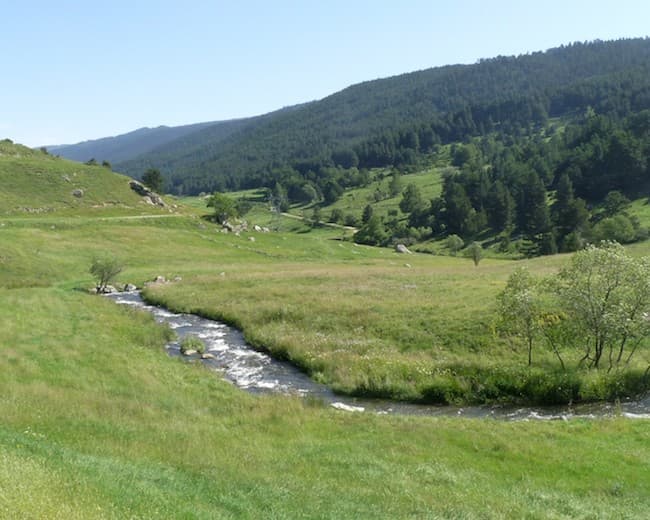 En verano, cuando el tiempo es bueno, un arroyo desciende rápidamente hacia un valle verde, frente a un vasto bosque de abetos.